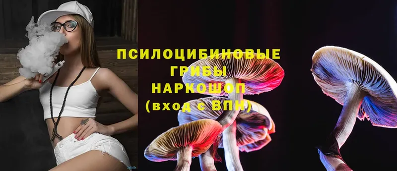 цены   Богданович  дарк нет телеграм  Псилоцибиновые грибы MAGIC MUSHROOMS 